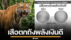 มาแล้ว! เลขเด็ด เสือตกถังพลังเงินดี งวด 16/7/69 มาเต็มทั้งเด่น-รอง ลุ้นรับทรัพย์ปังๆ